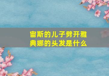 宙斯的儿子劈开雅典娜的头发是什么