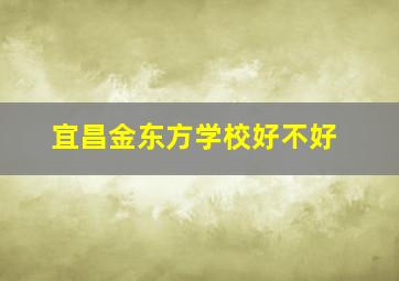 宜昌金东方学校好不好