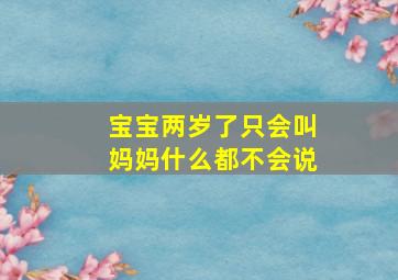 宝宝两岁了只会叫妈妈什么都不会说