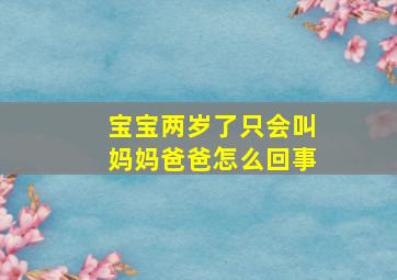 宝宝两岁了只会叫妈妈爸爸怎么回事