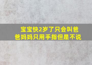 宝宝快2岁了只会叫爸爸妈妈只用手指但是不说