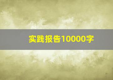 实践报告10000字