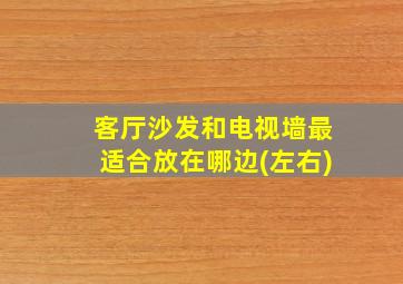 客厅沙发和电视墙最适合放在哪边(左右)