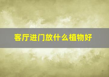 客厅进门放什么植物好