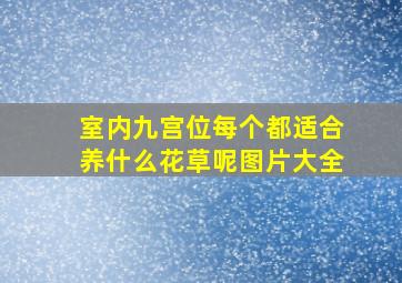 室内九宫位每个都适合养什么花草呢图片大全