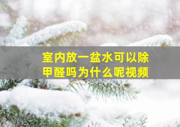 室内放一盆水可以除甲醛吗为什么呢视频