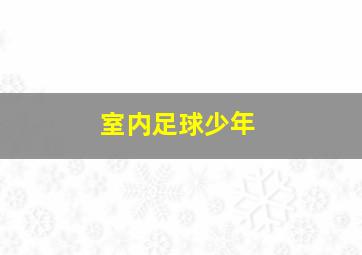 室内足球少年