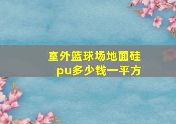 室外篮球场地面硅pu多少钱一平方