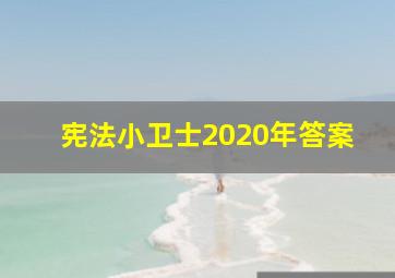 宪法小卫士2020年答案