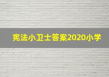 宪法小卫士答案2020小学