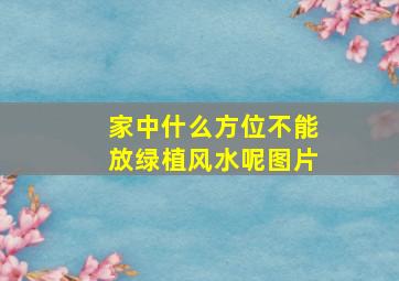 家中什么方位不能放绿植风水呢图片