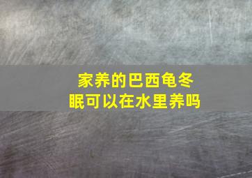 家养的巴西龟冬眠可以在水里养吗