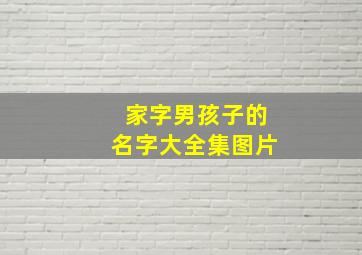 家字男孩子的名字大全集图片