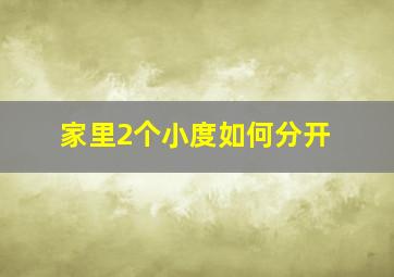 家里2个小度如何分开