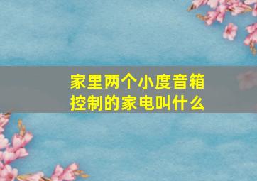 家里两个小度音箱控制的家电叫什么