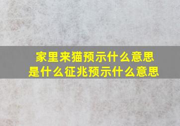 家里来猫预示什么意思是什么征兆预示什么意思