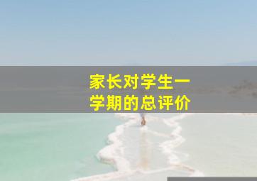 家长对学生一学期的总评价