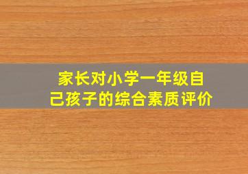 家长对小学一年级自己孩子的综合素质评价