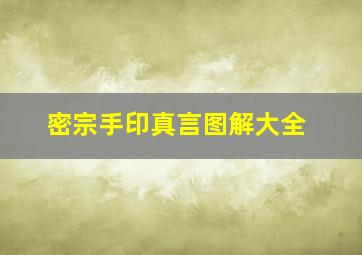 密宗手印真言图解大全