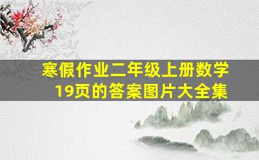 寒假作业二年级上册数学19页的答案图片大全集