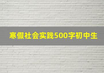 寒假社会实践500字初中生