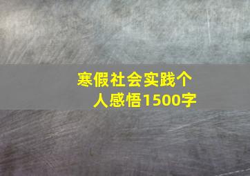 寒假社会实践个人感悟1500字