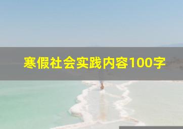 寒假社会实践内容100字