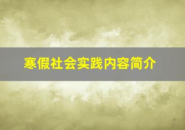 寒假社会实践内容简介