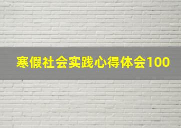 寒假社会实践心得体会100