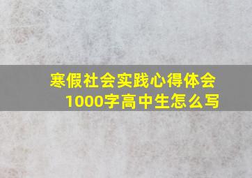 寒假社会实践心得体会1000字高中生怎么写