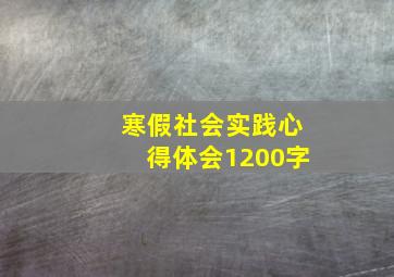 寒假社会实践心得体会1200字