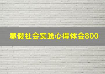 寒假社会实践心得体会800