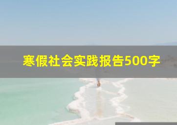 寒假社会实践报告500字