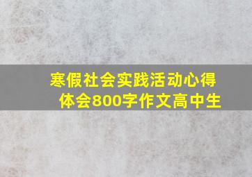 寒假社会实践活动心得体会800字作文高中生