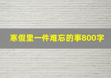 寒假里一件难忘的事800字