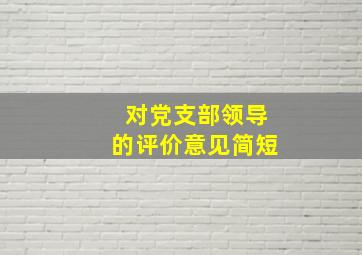 对党支部领导的评价意见简短