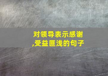 对领导表示感谢,受益匪浅的句子