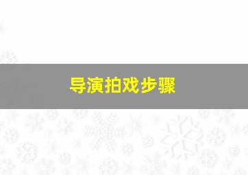 导演拍戏步骤