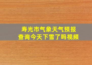 寿光市气象天气预报查询今天下雪了吗视频