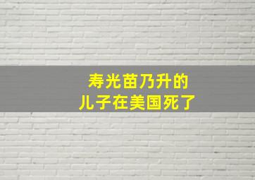 寿光苗乃升的儿子在美国死了