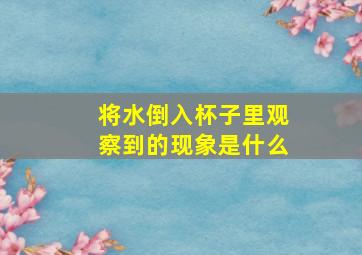 将水倒入杯子里观察到的现象是什么