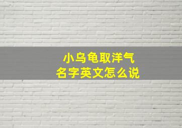 小乌龟取洋气名字英文怎么说