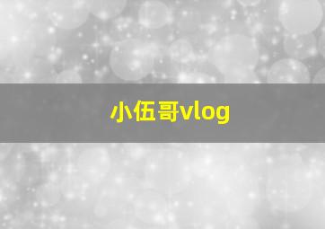 小伍哥vlog