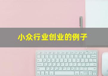 小众行业创业的例子