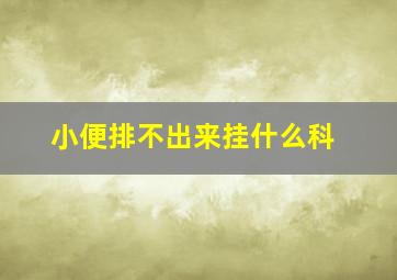 小便排不出来挂什么科