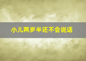 小儿两岁半还不会说话