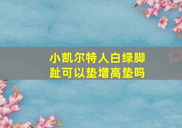 小凯尔特人白绿脚趾可以垫增高垫吗