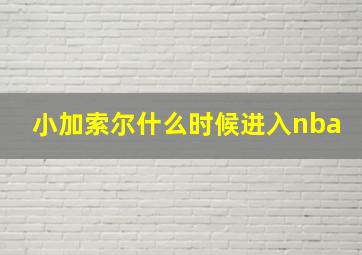 小加索尔什么时候进入nba