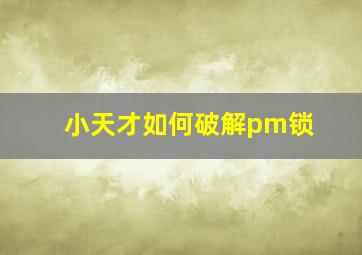 小天才如何破解pm锁