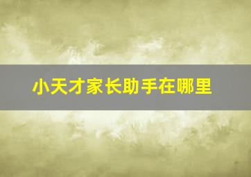 小天才家长助手在哪里